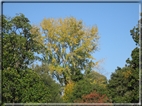 foto Parco Sebellin in Autunno